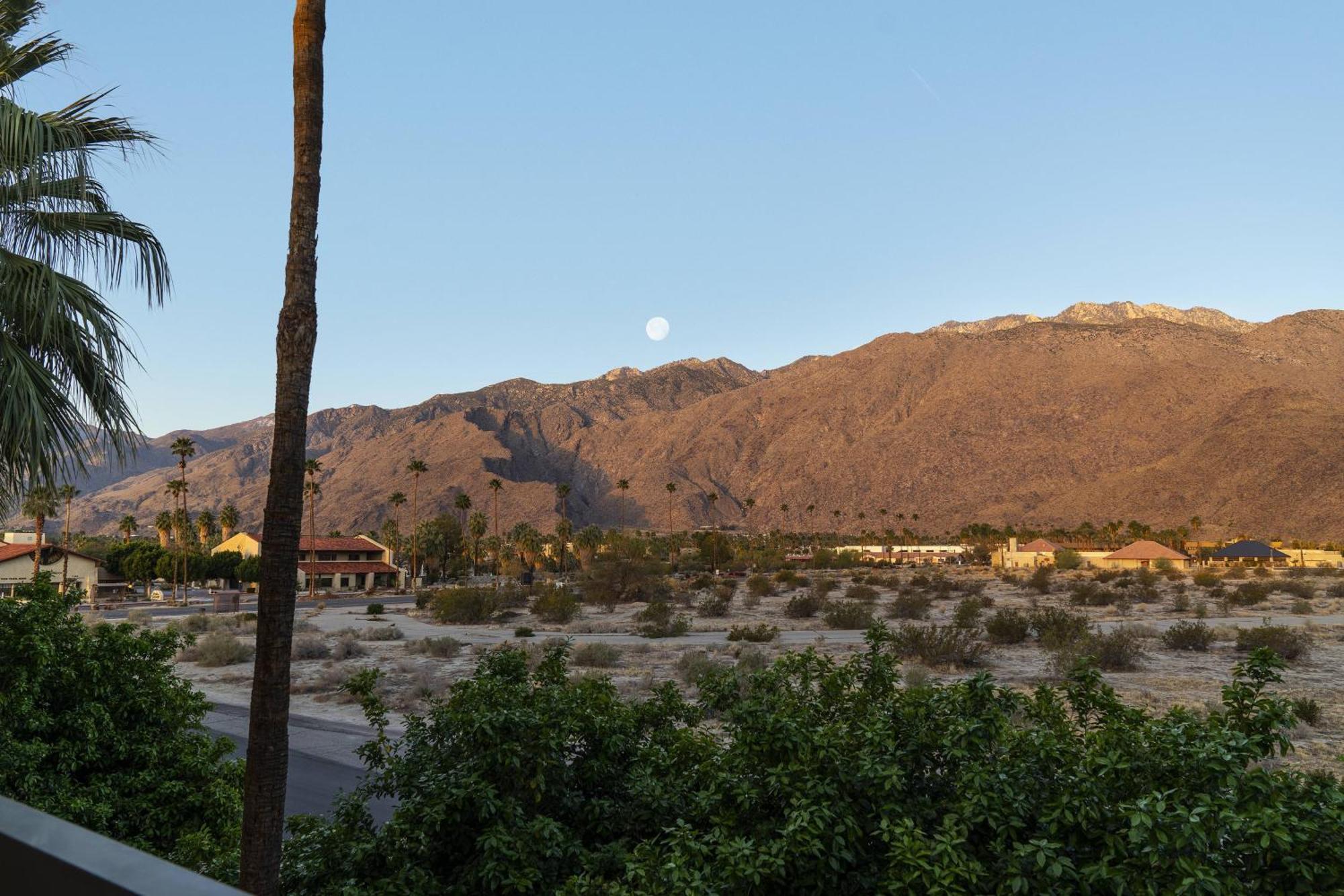 Hotel Courtyard By Marriott Palm Springs Extérieur photo